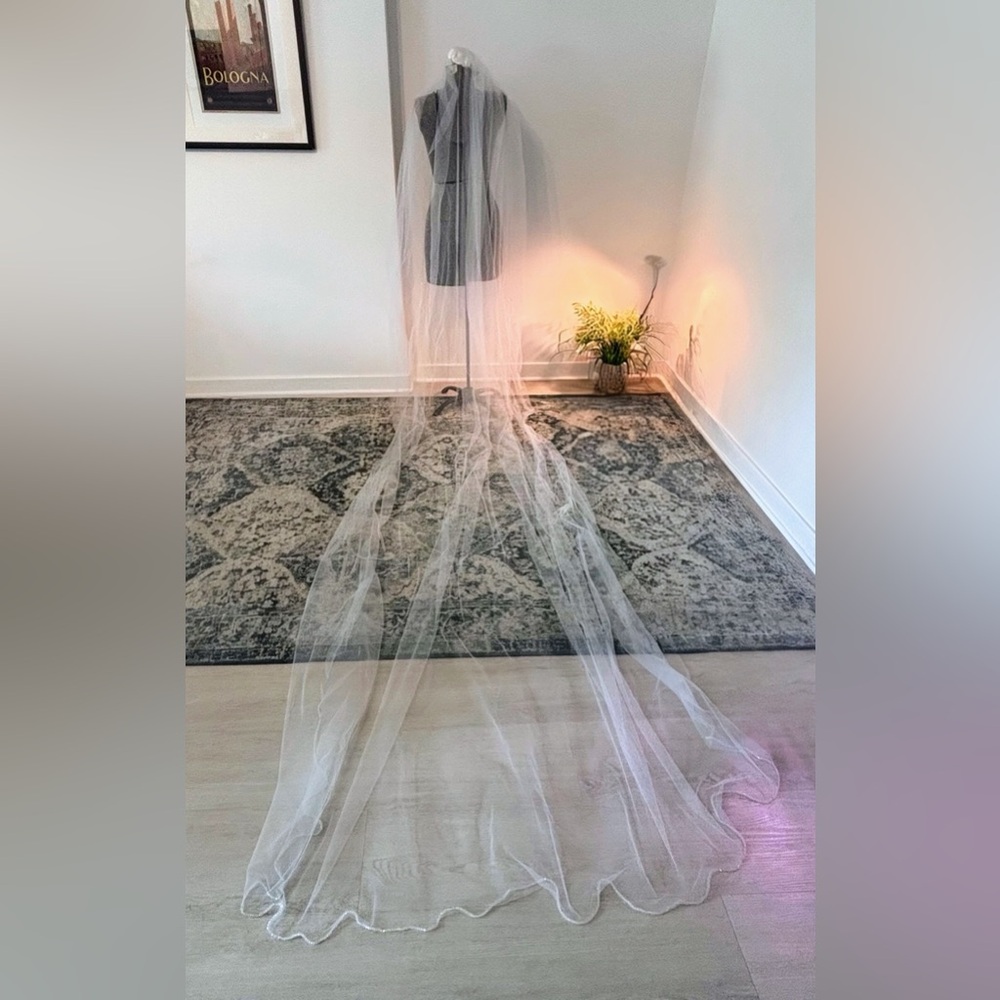Gorgeous cathedral length veil with crystal bead trim